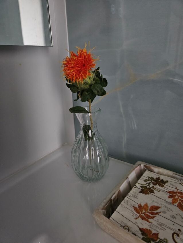 single flower in vase